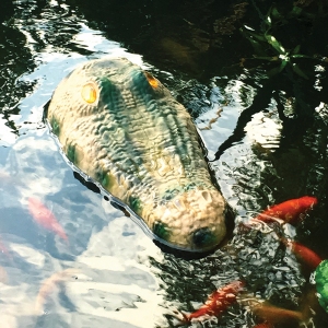 Krokodýlí hlava